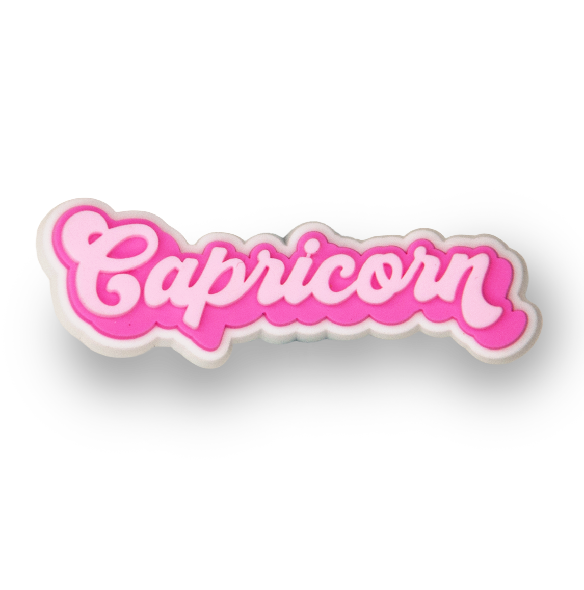 Capricorn Zodiac Charm