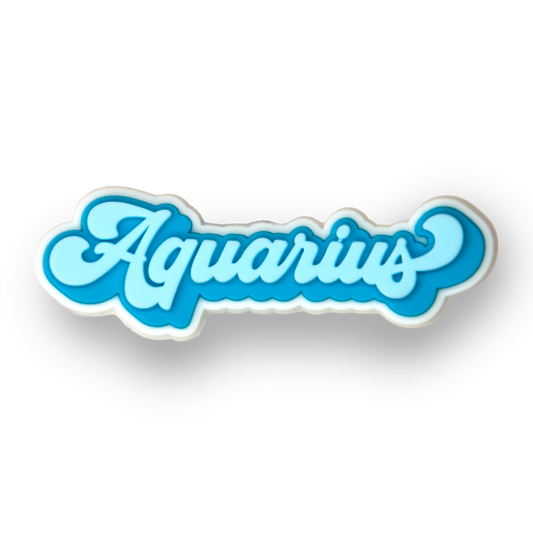 Aquarius Zodiac Charm