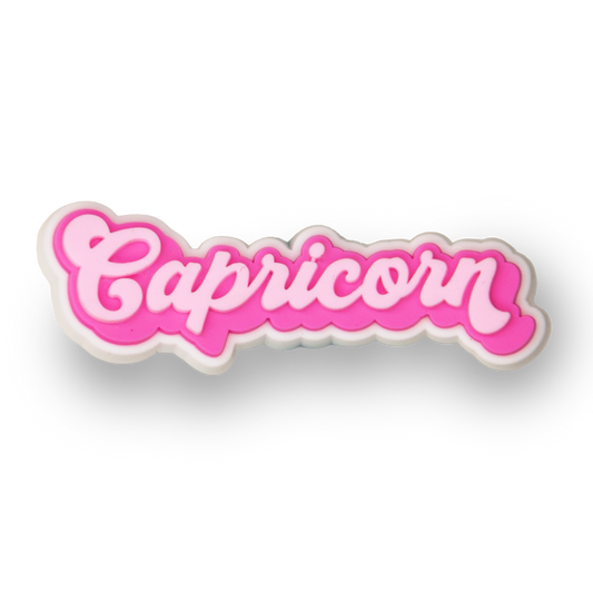 Capricorn Zodiac Charm